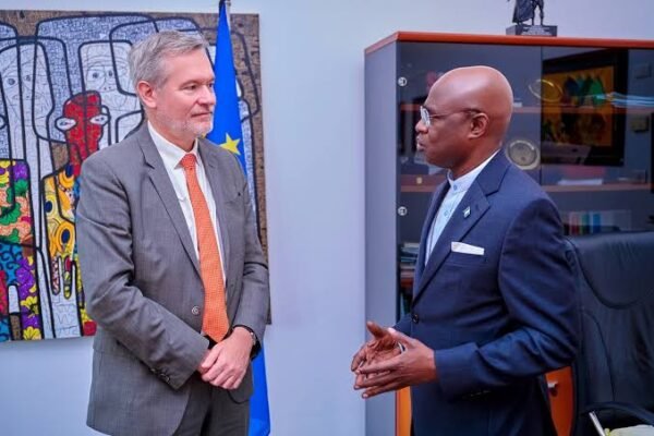 ‎Nigeria Set to Lead Africa’s Digital, Creative Economy — EU Ambassador
