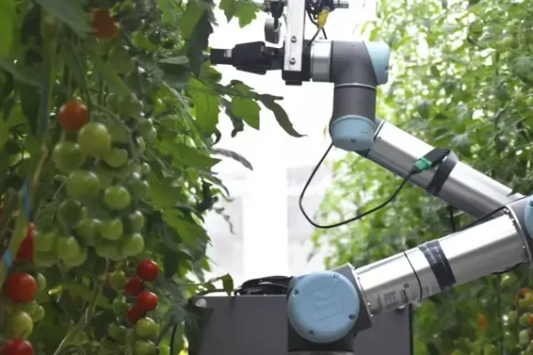 ‎China Launches Humanoid Robot capable of Crop Pollination with 93% accuracy