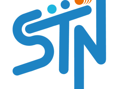 STN: New Telco Enters Market As MTN, Airtel Control 86% Of Subscribers