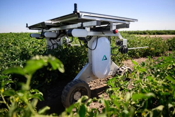U.S Startup Develop Solar Powered Robot that Uses AI to Identify and Remove Weeds from Farm Fields (Video)
